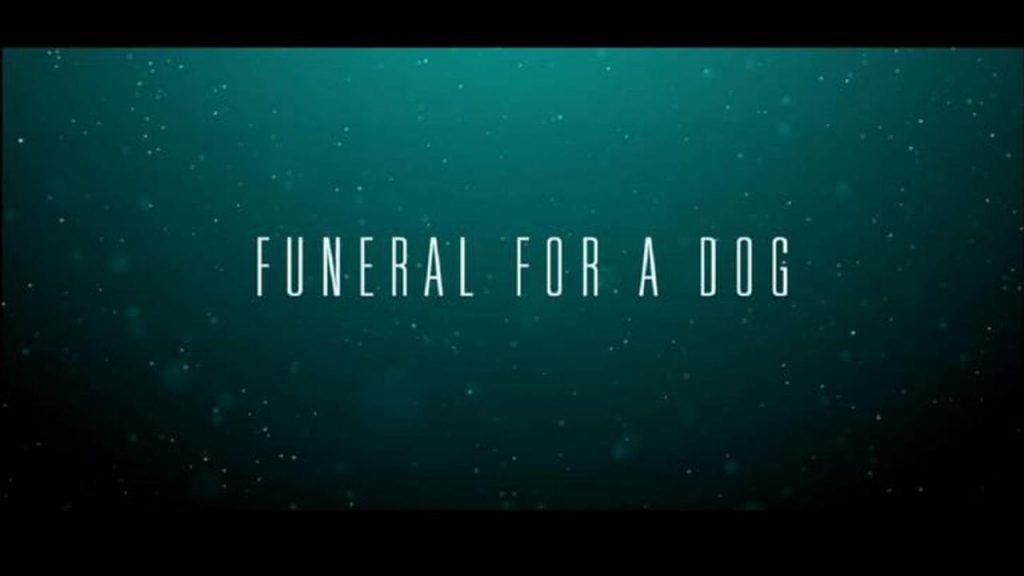 funeral for a dog