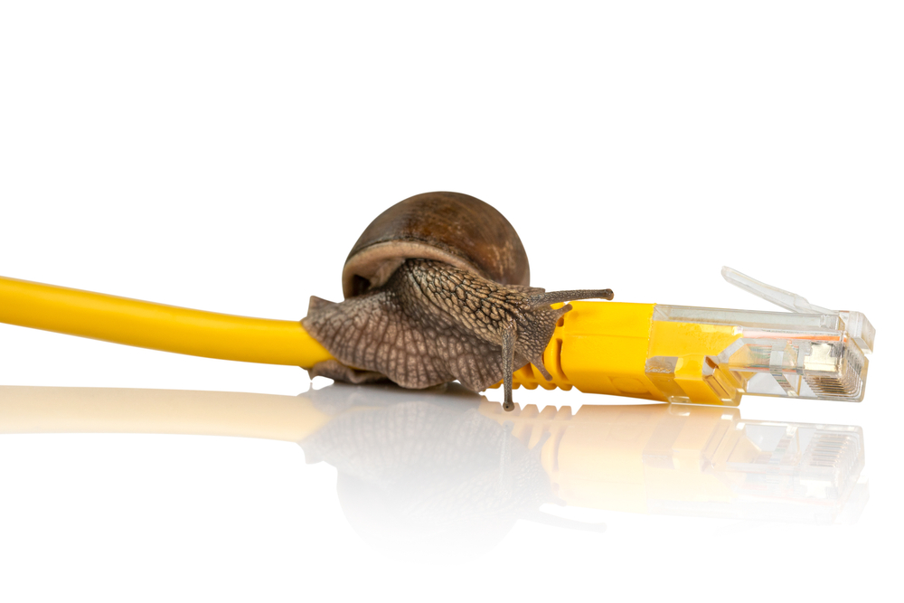 How to Pick the Right Broadband Plan: Internet Speed & Avoid Data Caps