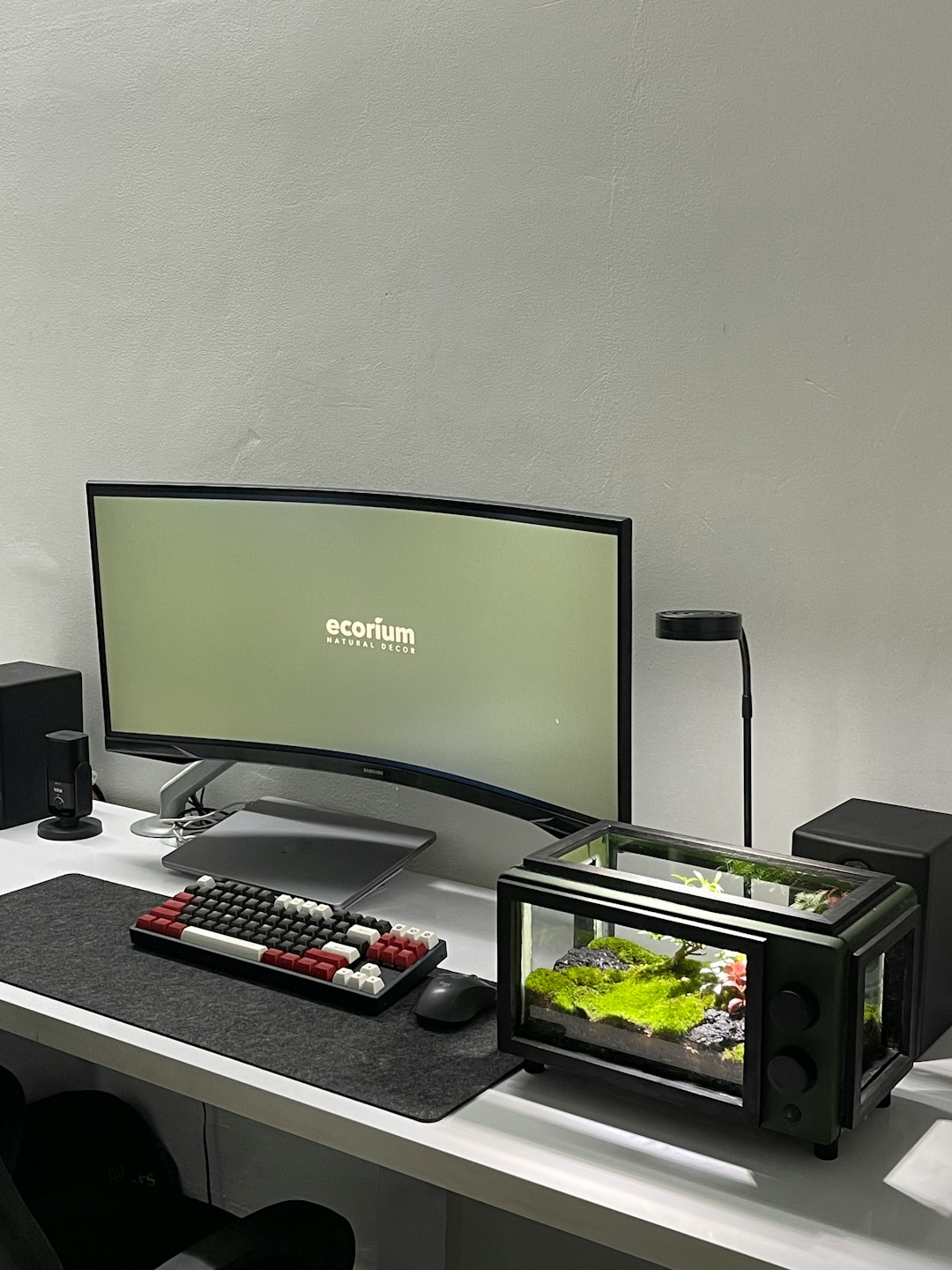 tech setup with tv and internet